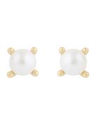 SNÖ Of Sweden Lucy Pearl Ear G/White Guld