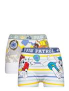 Paw Patrol Boxer Multi/patterned