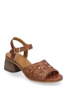 ANGULUS Sandals - Block Heels Brun