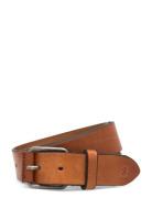 Saddler Arion Brun