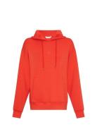 MSCH Copenhagen Mschima Q Icon Hood Sweatshirt Röd