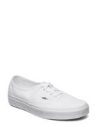 VANS Ua Authentic Vit