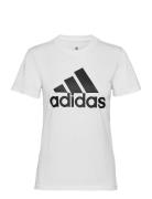 Adidas Sportswear W Bl T Vit