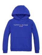 Tommy Hilfiger U Corp Logo Ess Hoodie Blå