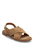 Billi Bi Sandals Brun