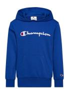 Champion Hooded Sweatshirt Blå