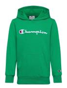 Champion Hooded Sweatshirt Grön