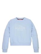 Tommy Hilfiger Tommy Script Cn Sweatshirt Blå