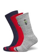 Polo Ralph Lauren Polo Bear Roll-Top 3-Sock Gift Set Multi/patterned