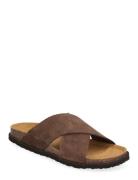 Scholl Sl Leon Suede Dk Brown Brun