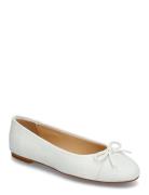 Dasia Cate Vit