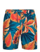 Original Penguin 7" Volley Rec Aop Tr Multi/patterned