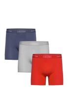 Calvin Klein Boxer Brief 3Pk Blå