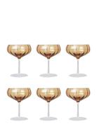 Specktrum Meadow Cocktail Glass - 6 Pack Orange