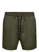 ONLY & SONS Onsted Life Short Swim Noos Grön