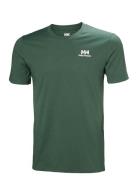 Helly Hansen Nord Graphic T-Shirt Grön