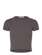 Hope Vile Tee Plum Grey Hemp Brun