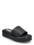 Steve Madden Beachy Slides Svart