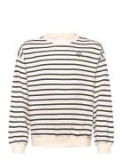The New Tnnero Os Sweatshirt Vit