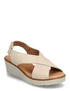 Dasia Ivy Beige