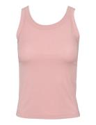 Missya Nova Top Rosa