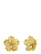 Edblad Jasmine Studs L Guld