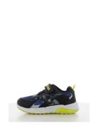 Batman Batman Sneaker Svart