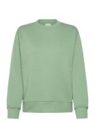 GANT Shield C-Neck Sweat Grön