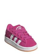 Adidas Originals Campus 00S Cf El I Rosa