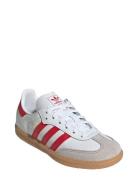 Adidas Originals Samba Og C Vit