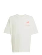 Adidas Performance Mer Sp Gfxtee Y Vit