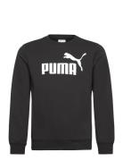 PUMA Ess No. 1 Logo Crew Tr B Svart