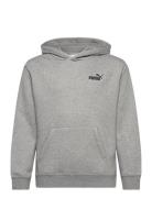 PUMA Ess Small No. 1 Logo Relaxed Hoodie Fl B Grå