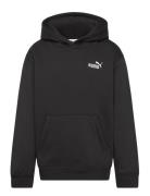 PUMA Ess Small No. 1 Logo Relaxed Hoodie Fl B Svart