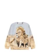 Molo Miksi Beige