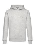 GANT Tonal As Hoodie Grå