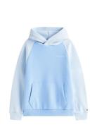 Tommy Hilfiger Mini Corp Logo Hoodie Blå