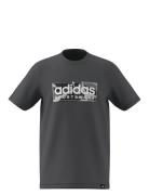 Adidas Sportswear B Camo Lin Svart