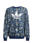 Adidas Originals Crew Blå