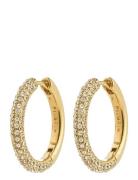 Pilgrim Tatum Large Hoops Gold-Plated Guld