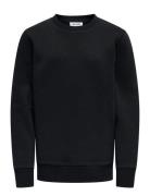 ONLY & SONS Osjceres Crew Neck Swt Noos Svart