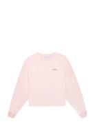 Maison Labiche Paris Massard Amour Rosa