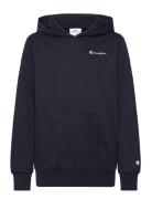 Champion Hooded Sweatshirt Svart