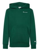 Champion Hooded Sweatshirt Grön