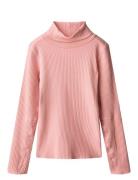 Molo Rennie Rosa