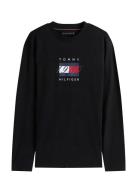 Tommy Hilfiger Linear Flag Graphic Ls Tee Svart