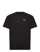 PUMA Evostripe Tee Svart