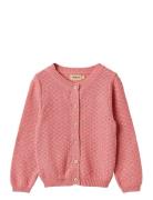 Wheat Knit Cardigan Magnella Rosa