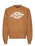 Dickies M Ruston Sweater Orange