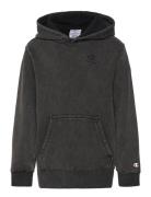 Champion Hooded Sweatshirt Svart